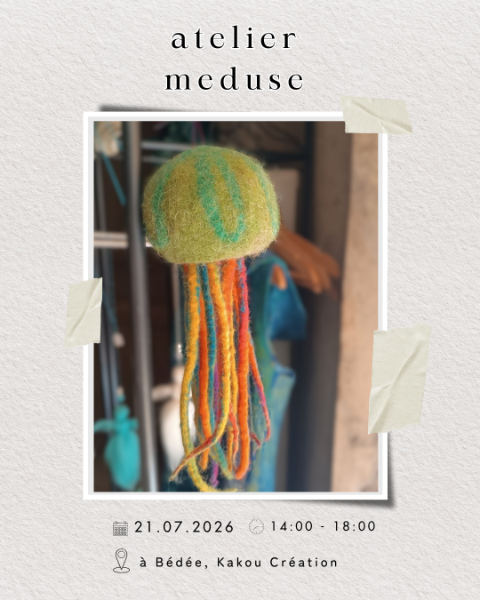 Créez une Méduse Inspirée de l'océan - Atelier de laine feutrée à Bédée