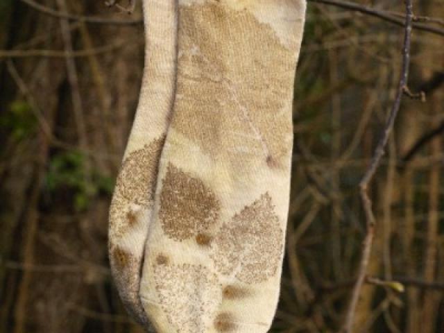 Chaussettes en fibre naturel de bamboo avec impression botanique pour femmes
