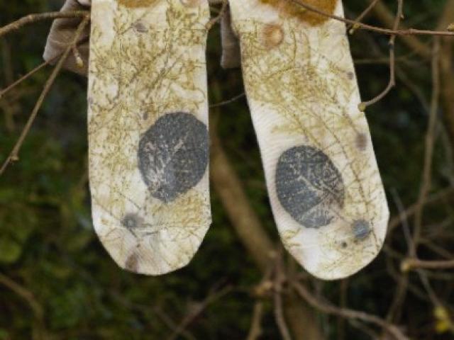 Chaussettes en fibre naturel de bamboo avec impression botanique pour femmes