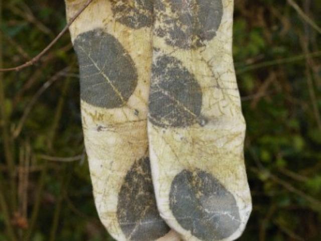 Chaussettes en fibre naturel de bamboo avec impression botanique pour femmes