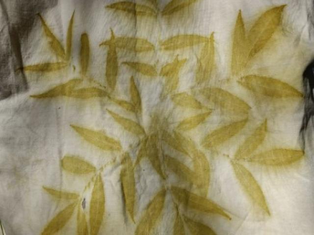 T-Shirt avec impressions végétales